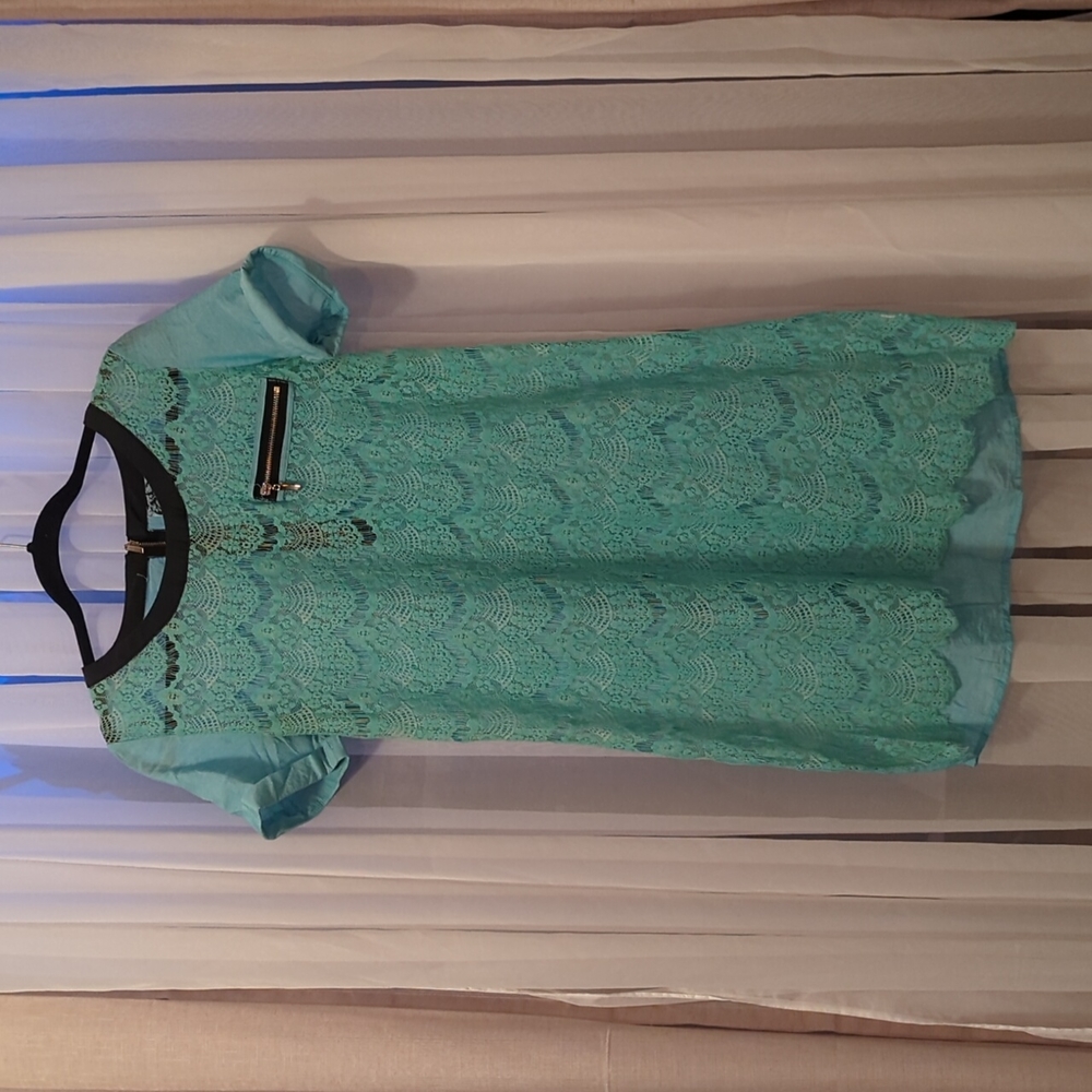 Eyelash lace shift dress